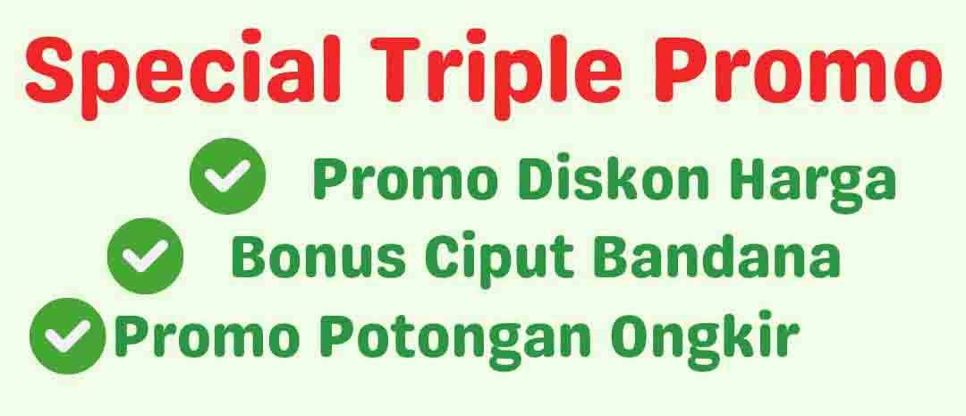 Promo Potongan Ongkir 30% mixue - 1