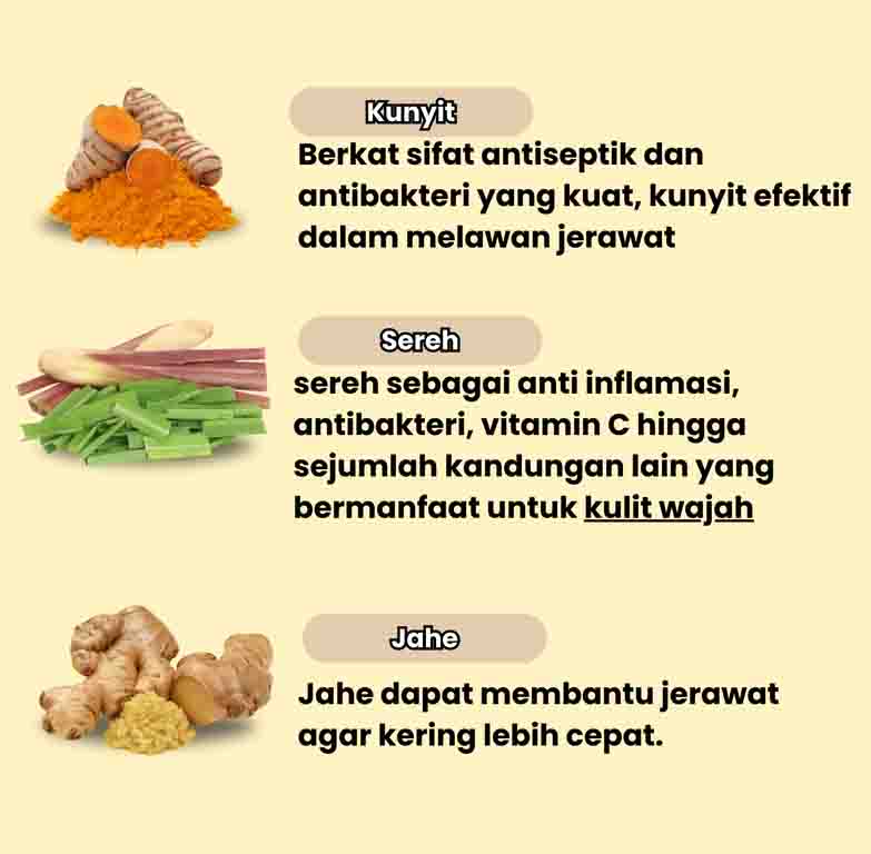 jamu penghilang jerawat - 7